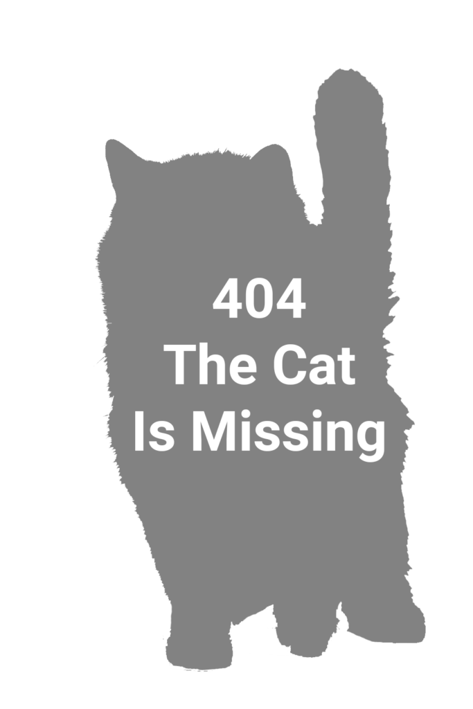 404 - The Cat Is Missing
