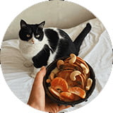 Cat - rounder #1 - Cherished Cat Pet Sitting Cat - rounder #1